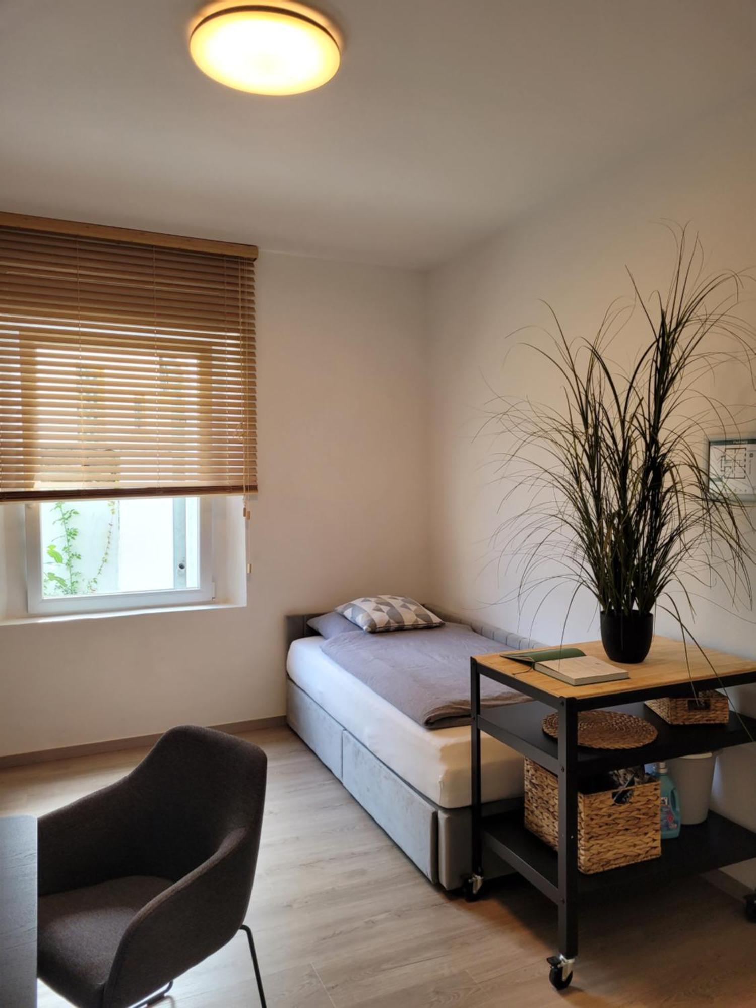 Waldstadt-Apartments Изерлон Екстериор снимка